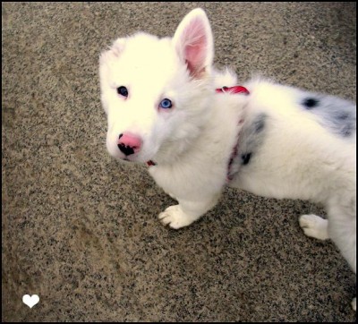 Knepp und so 063 - Kopie.jpg (81.34 KiB) 6286-mal betrachtet Knepp und so 063 - Kopie.jpg